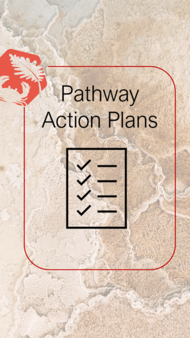 Pathway Action Plan
