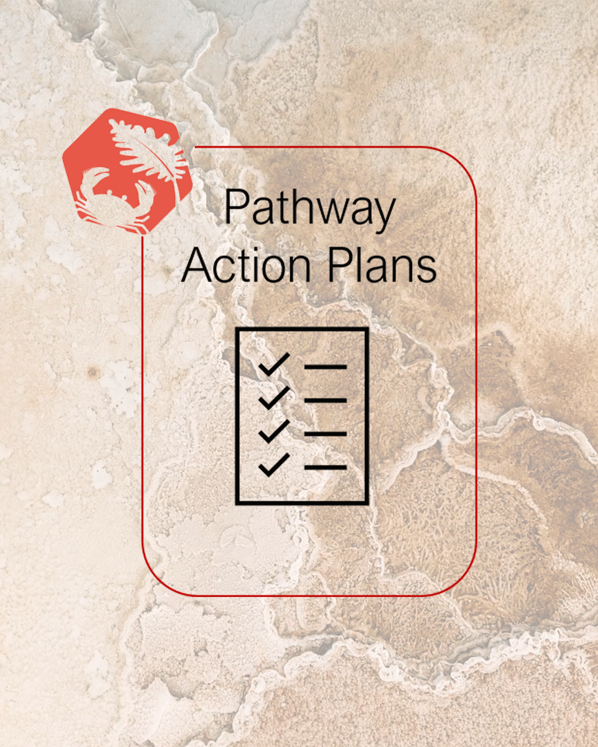 Pathway Action Plan